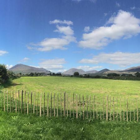 Willowtree Glamping Mournes Villa Annalong Buitenkant foto