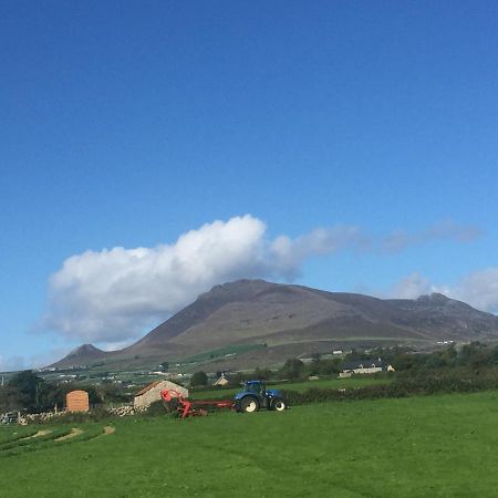 Willowtree Glamping Mournes Villa Annalong Buitenkant foto