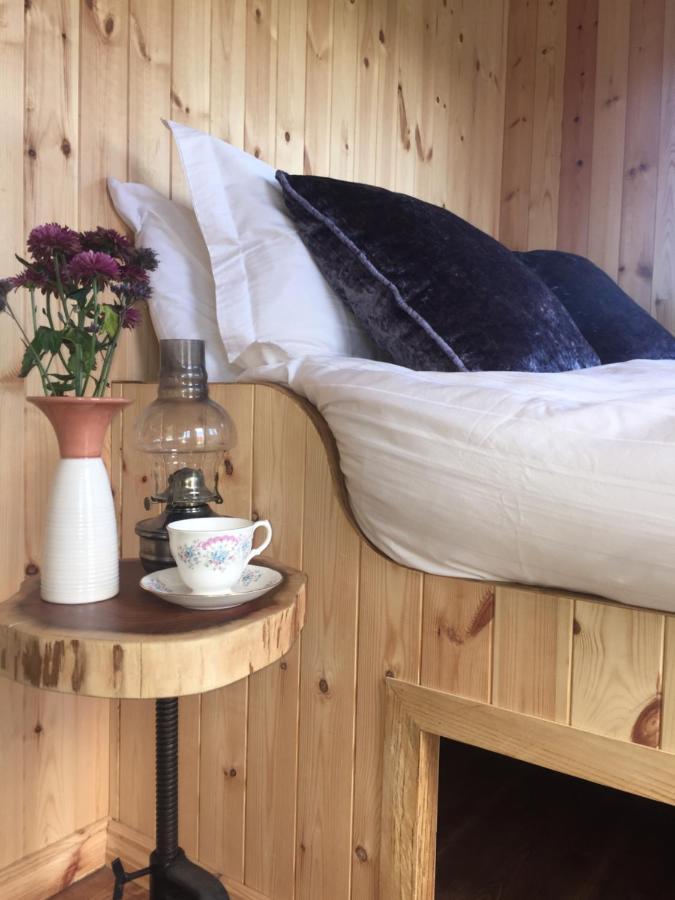 Willowtree Glamping Mournes Villa Annalong Buitenkant foto