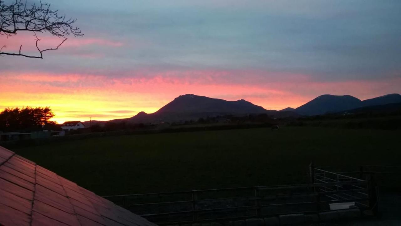 Willowtree Glamping Mournes Villa Annalong Buitenkant foto