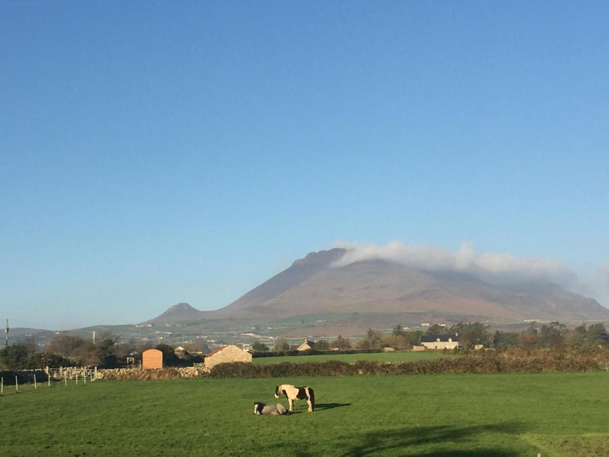 Willowtree Glamping Mournes Villa Annalong Buitenkant foto