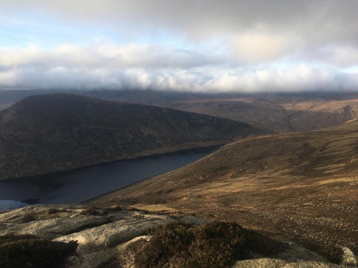Willowtree Glamping Mournes Villa Annalong Buitenkant foto
