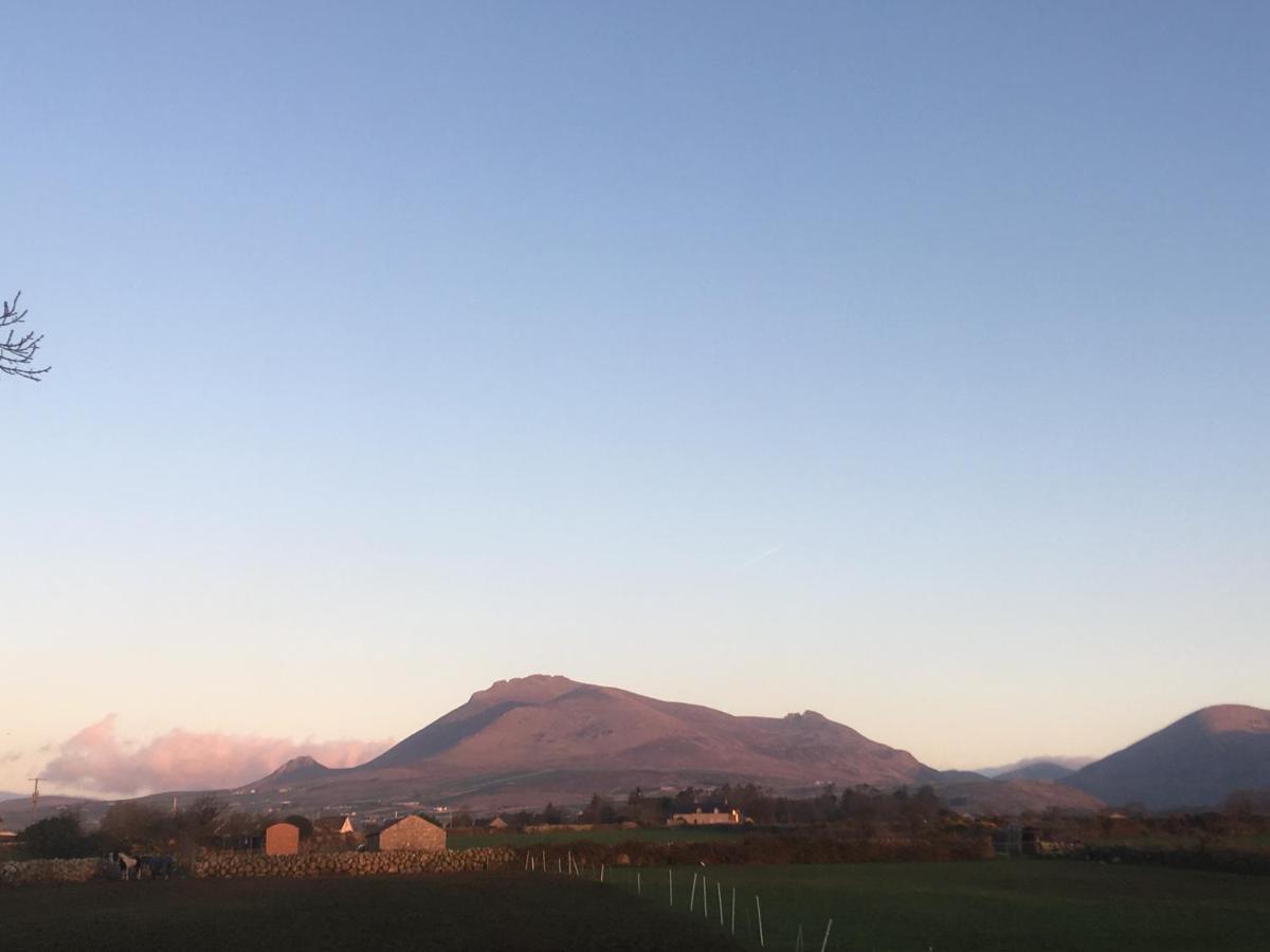Willowtree Glamping Mournes Villa Annalong Buitenkant foto